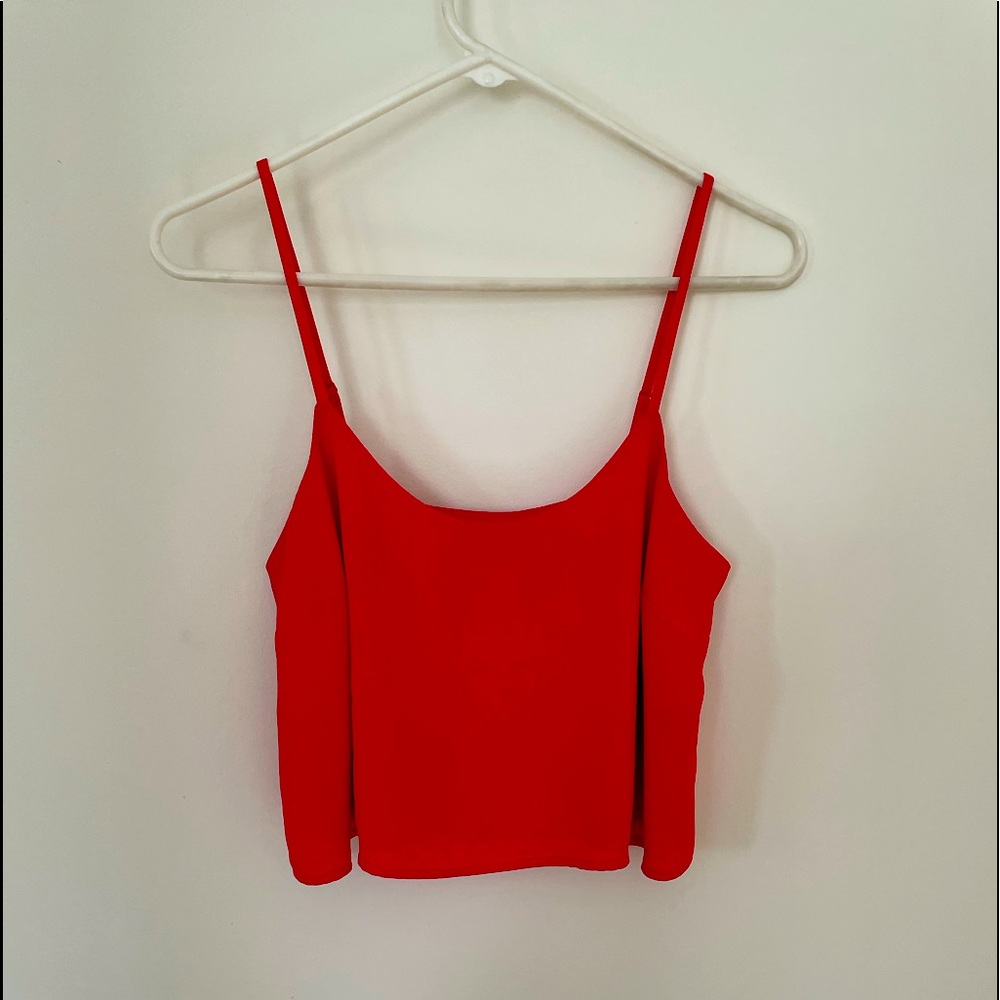 EXPRESS Crop Top